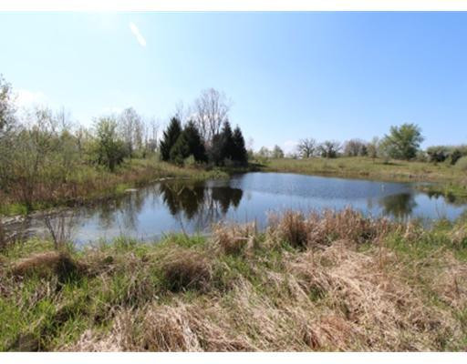 5831 Marshall Road Dexter, MI 48130 - Photo 4 of 7 Photo 4