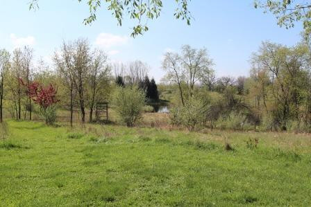 5831 Marshall Road Dexter, MI 48130 - Photo 6 of 7 Photo 6