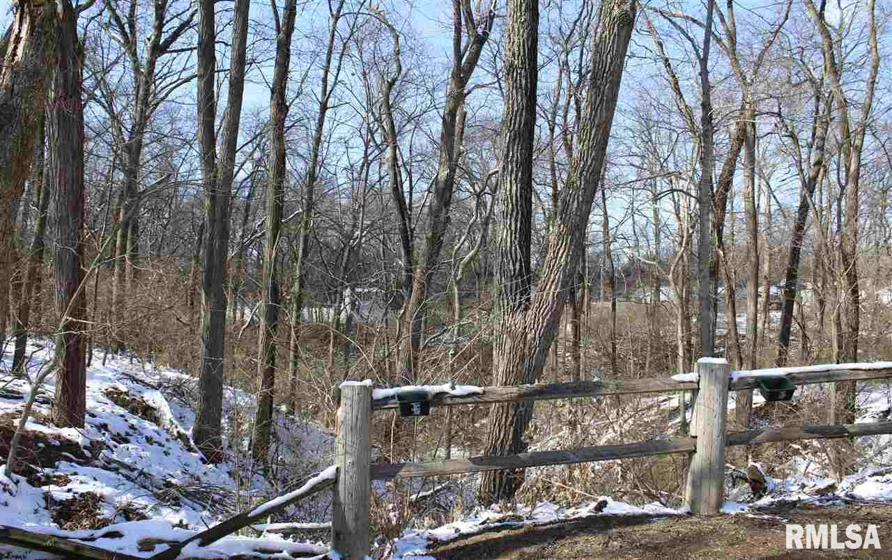117 Yates Road Marquette Heights, IL 61554 - Photo 31 of 33 Gallery Image 31