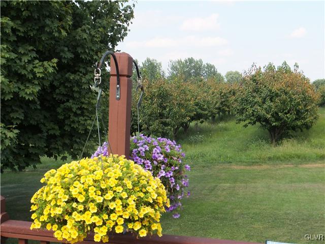 1625 Clearview Road Coplay, PA 18037 - Photo 35 of 39 Gallery Image 35