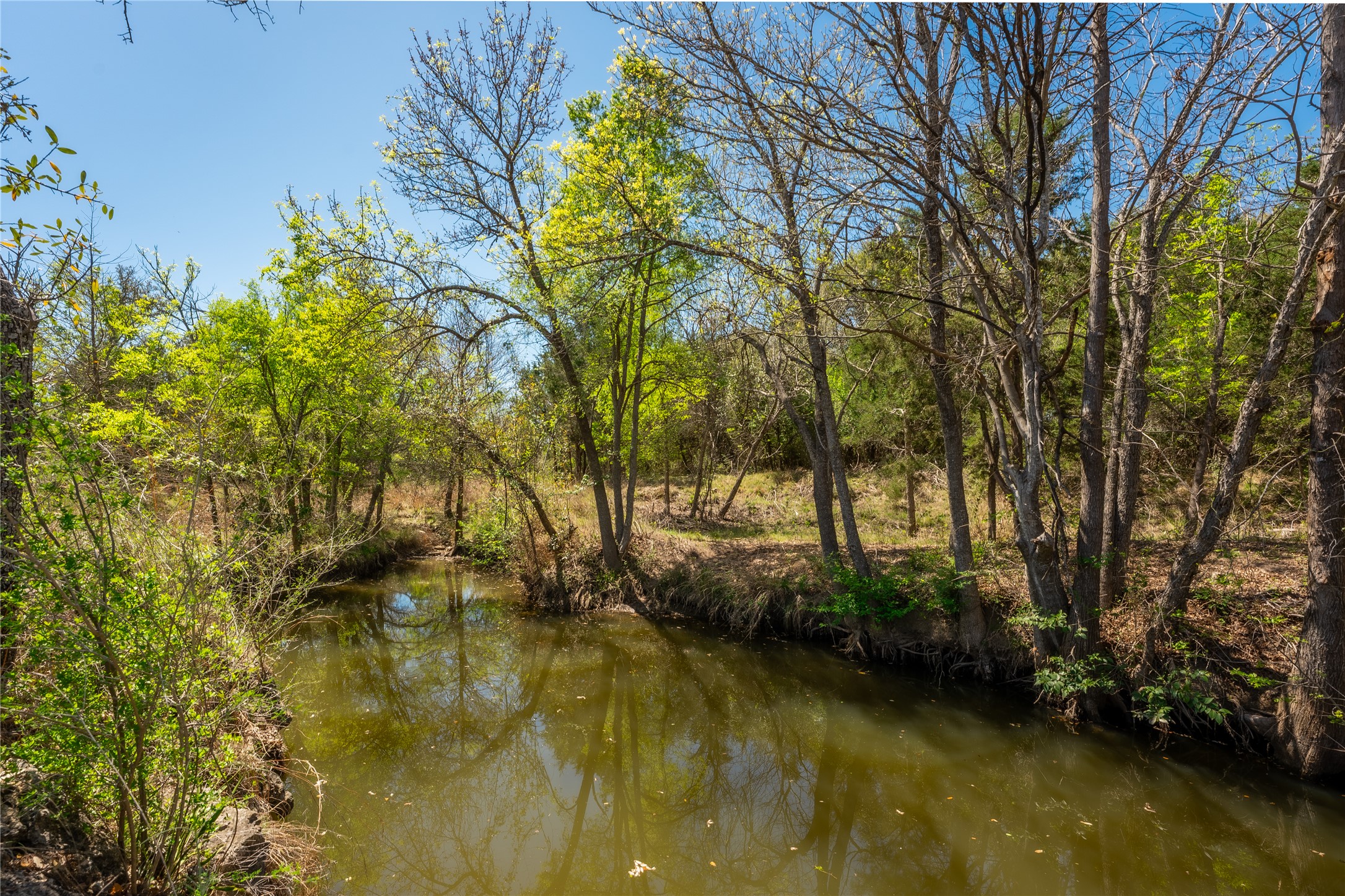 203 Sandy Oaks Ranch Road Johnson City, TX 78636 - Photo 10 of 10 a view of a lake with houses