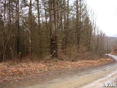 0 Summer Mtn Road New Ringgold, PA 17960 - Photo 3 of 4