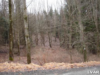 0 Summer Mtn Road New Ringgold, PA 17960 - Photo 4 of 4