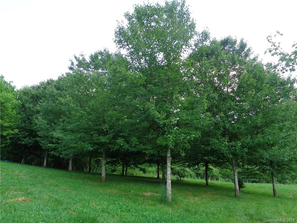 1217 Shoal Creek Road Balsam Grove, NC 28708 - Photo 3 of 20 Gallery Image 3