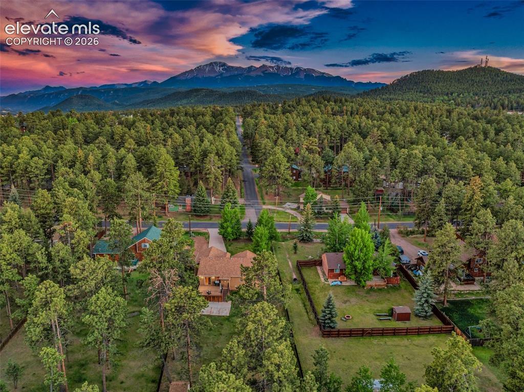 500 County Road Woodland Park, CO 80863 - Photo 46 of 47
