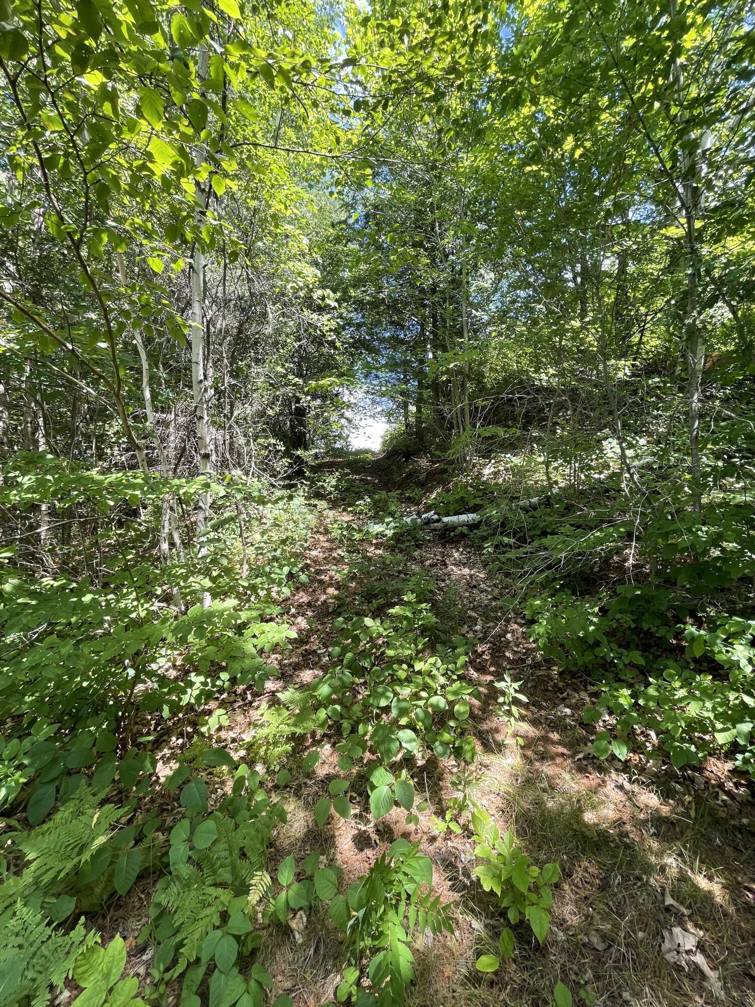 1496 Canada Road Moscow, ME 04920 - Photo 18 of 23 18