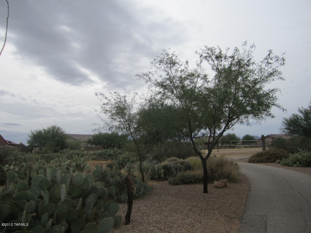9357 South Via Bandera Vail, AZ 85641 - Photo 33 of 41