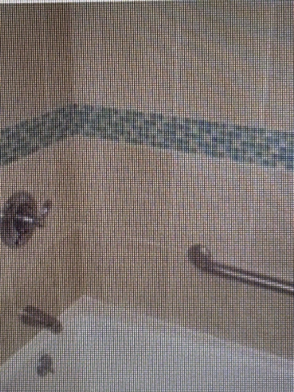39 Manatee Road Weymouth, MA 02189 - Photo 18 of 29 Gallery Image 18