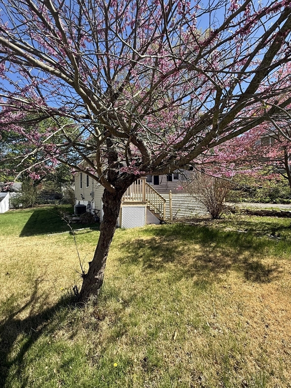 39 Manatee Road Weymouth, MA 02189 - Photo 3 of 29 Gallery Image 3