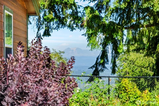 a picture of plants and flowers