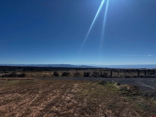a view of a dry yard