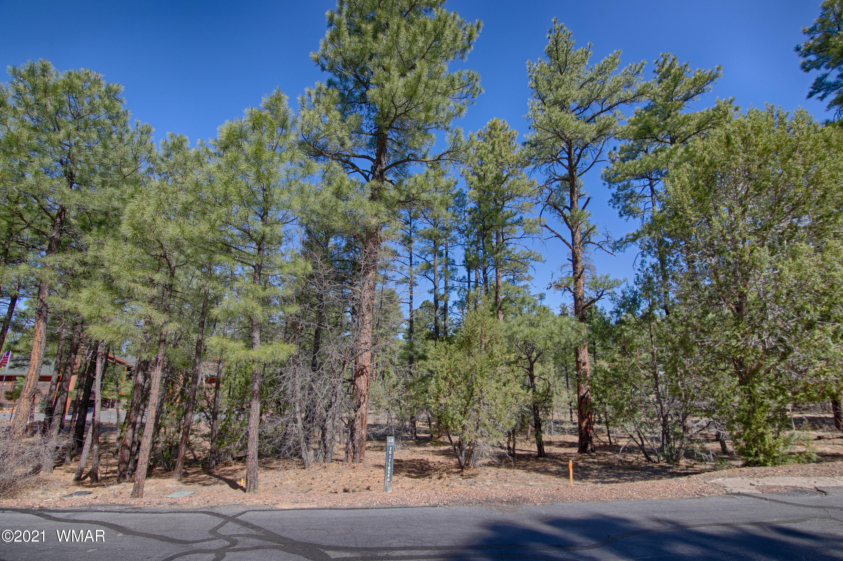 4820 West Hawthorn Road Show Low, AZ 85901 - Photo 1 of 21