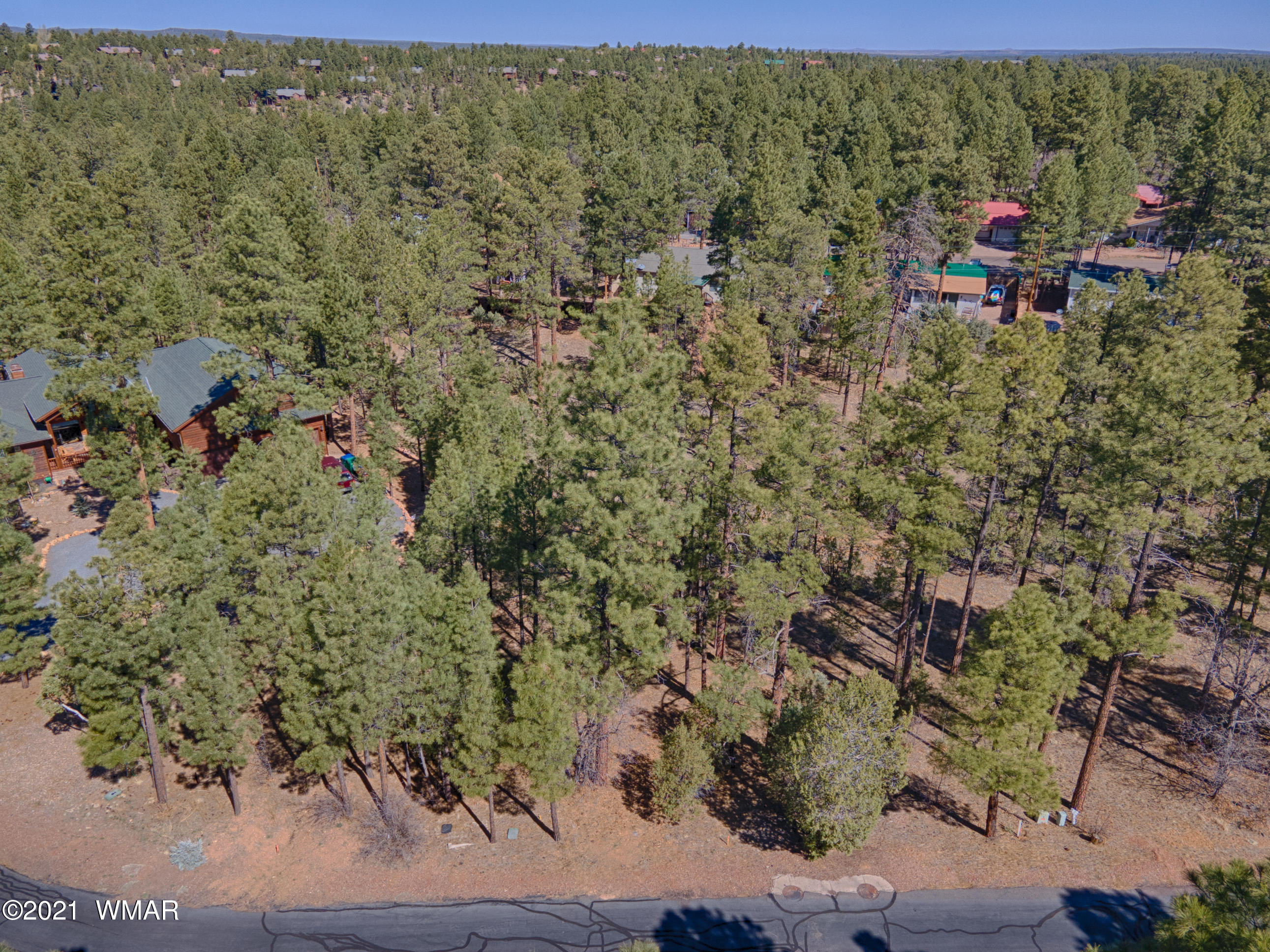 4820 West Hawthorn Road Show Low, AZ 85901 - Photo 2 of 21