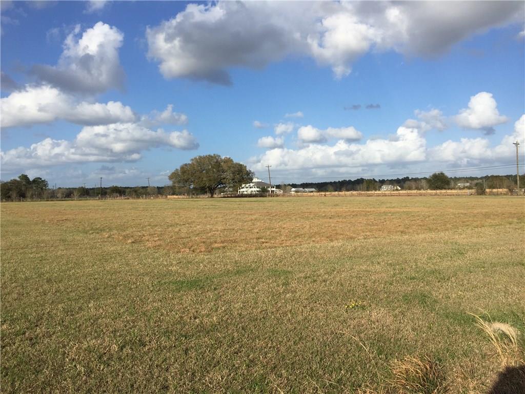 0 Turn Pike Road Covington, LA 70435 - Photo 3 of 3 Gallery Image 3