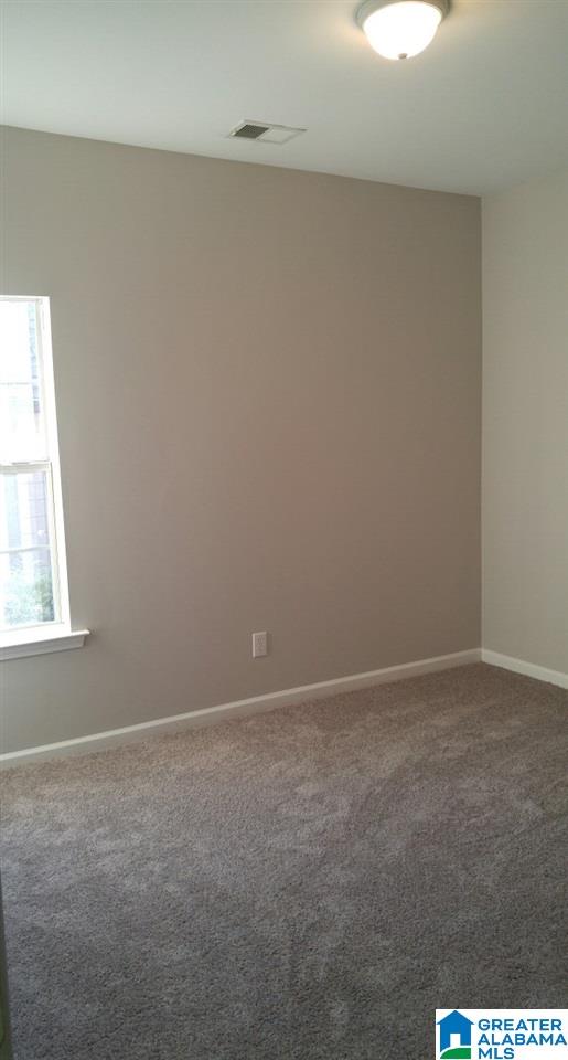 952 Savannah Lane Calera, AL 35040 - Photo 17 of 17
