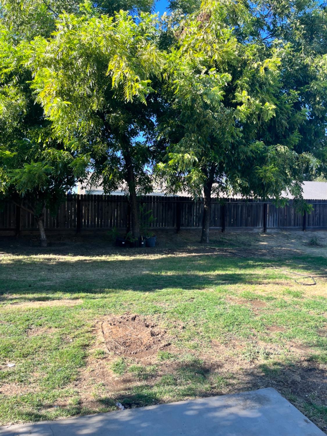392 West Huntsman Avenue Reedley, CA 93654 - Photo 12 of 18 Gallery Image 12