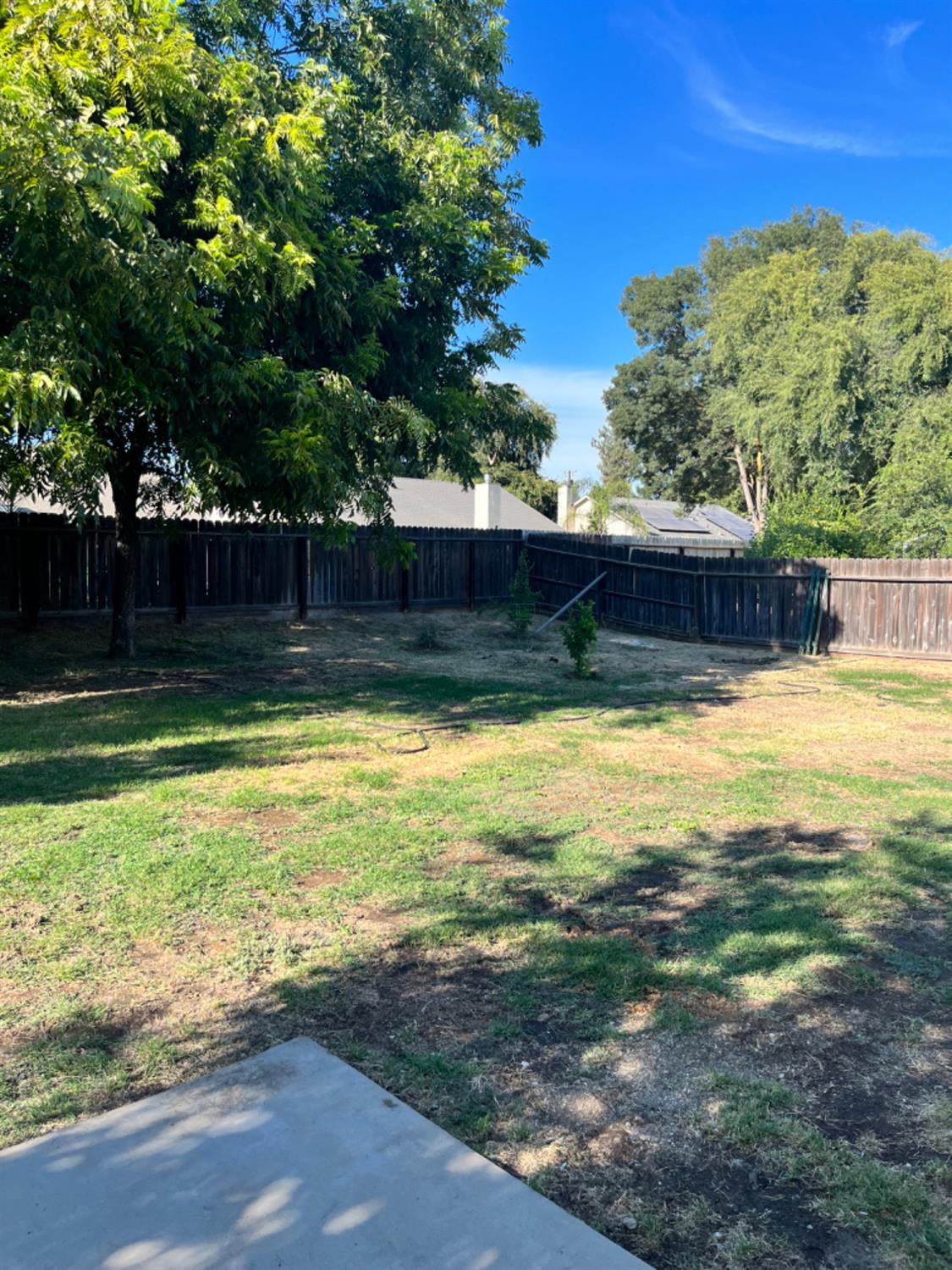 392 West Huntsman Avenue Reedley, CA 93654 - Photo 13 of 18 Gallery Image 13