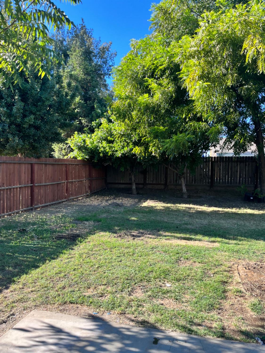392 West Huntsman Avenue Reedley, CA 93654 - Photo 16 of 18 Gallery Image 16