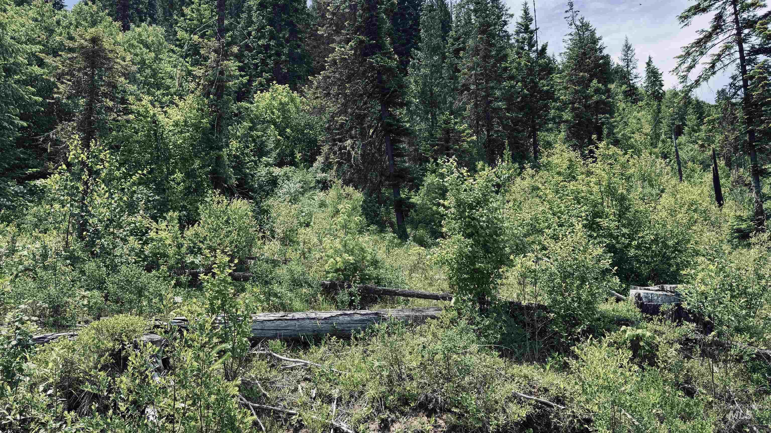 Tbd Glenwood Road Kamiah, ID 83536 - Photo 18 of 50