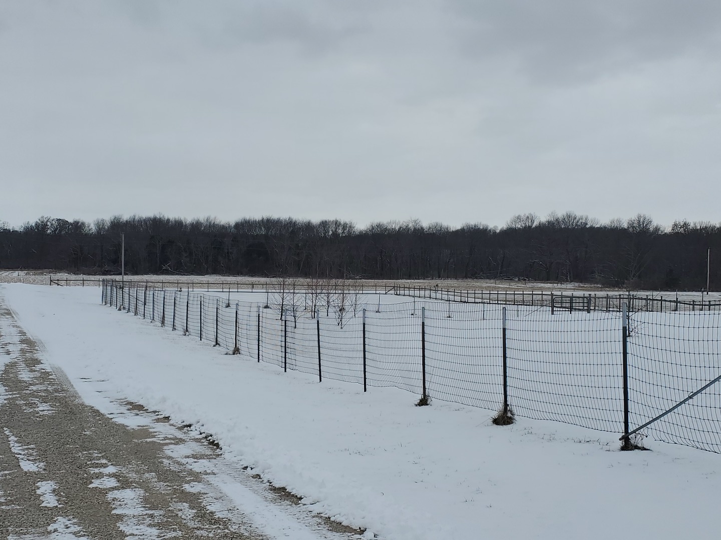 3538 East 2179th Road Ottawa, IL 61350 - Photo 18 of 28 a view of river and trees