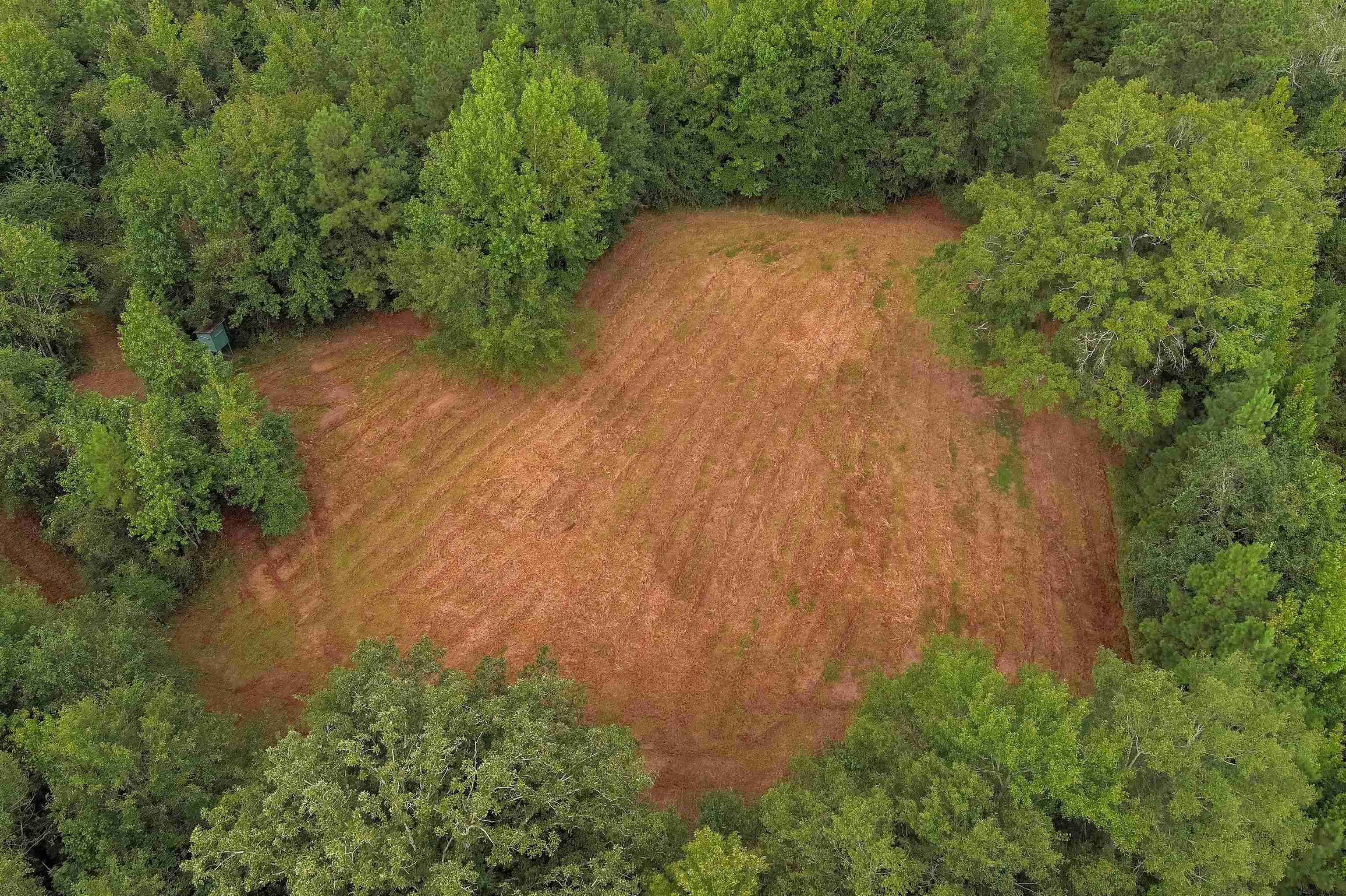 1147 Mack Pond Road Atmore, AL 36502 - Photo 33 of 40 Drone / aerial view