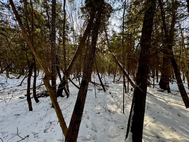 $49,000 | M9-l29 S Beckwith Road, Cornville, ME 04976