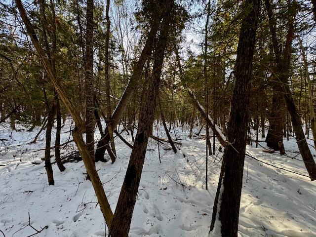 M9-l29 S Beckwith Road Cornville, ME 04976 - Photo 11 of 11 IMG_4175