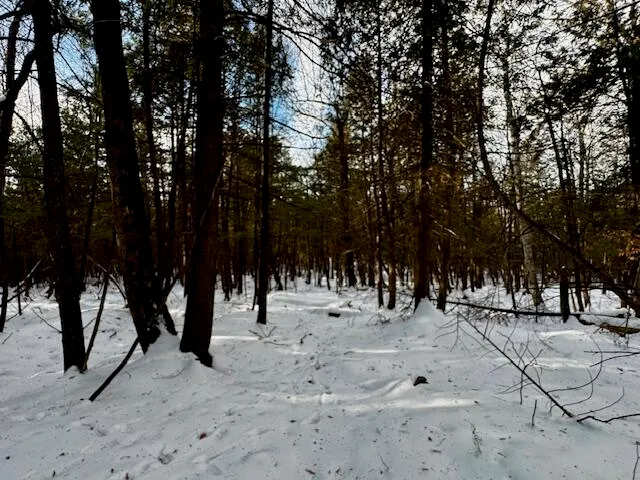 $49,000 | M9-l29 S Beckwith Road, Cornville, ME 04976