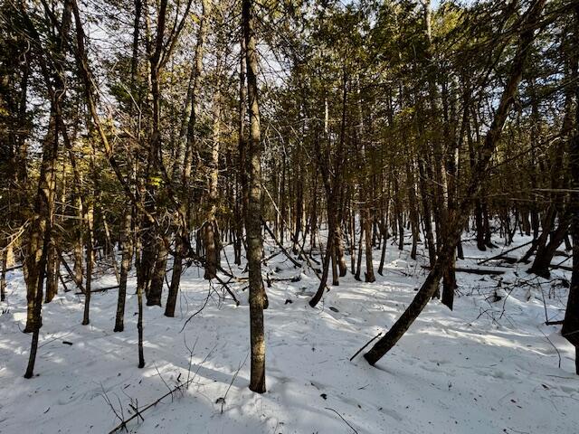 M9-l29 S Beckwith Road Cornville, ME 04976 - Photo 10 of 11 IMG_4174