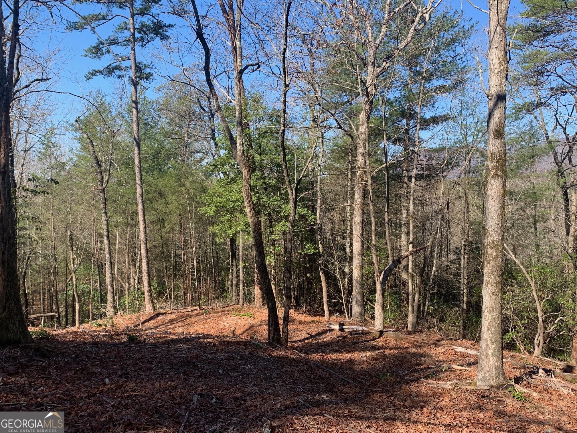 0 East New Hope Road, Unit TRACT B Ellijay, GA 30536 - Photo 20 of 20 Gallery Image 20