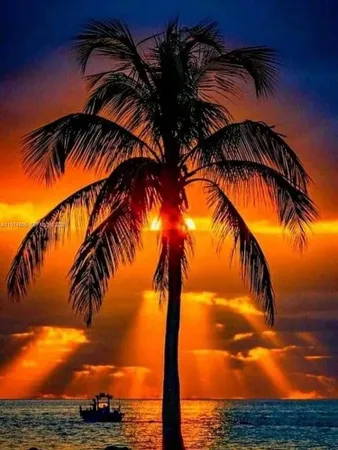 $2,150 | 1361 Sandpiper Boulevard, Homestead, FL 33035