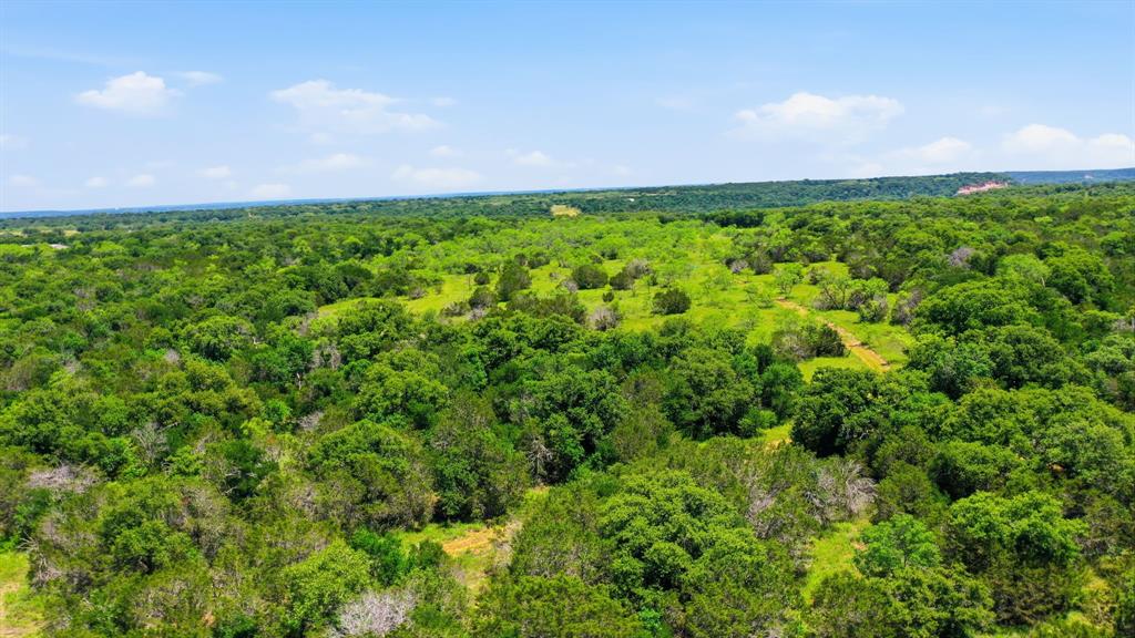 4320 Dobbs Valley Road Millsap, TX 76066 - Photo 38 of 40 a view of a big yard with plants and large trees