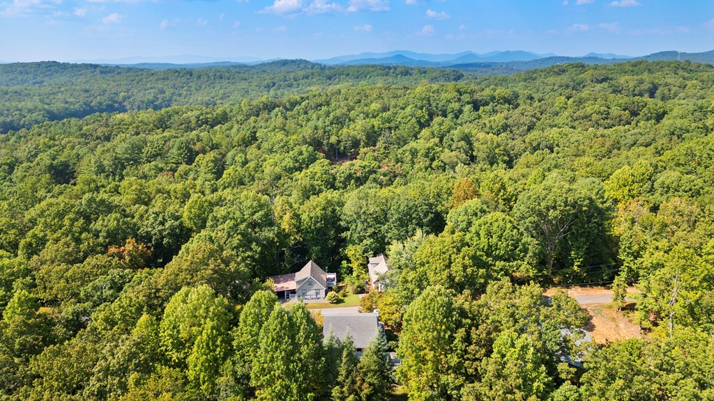 499 Ridgeview Circle Morganton, GA 30560 - Photo 54 of 58 Gallery Image 54