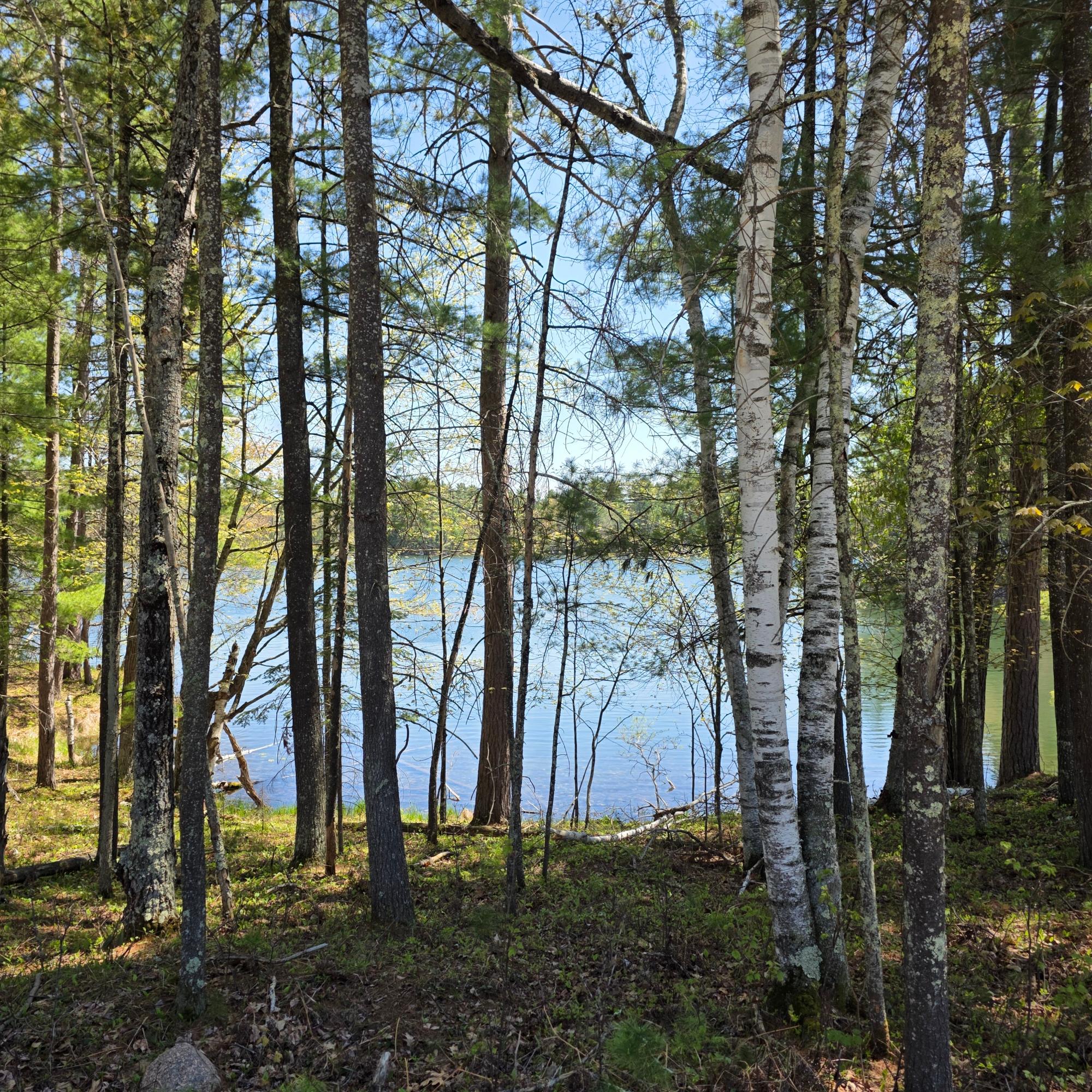 8659 N Bluegill Lake Road Winter, WI 54896 - Photo 9 of 25 Gallery Image 9