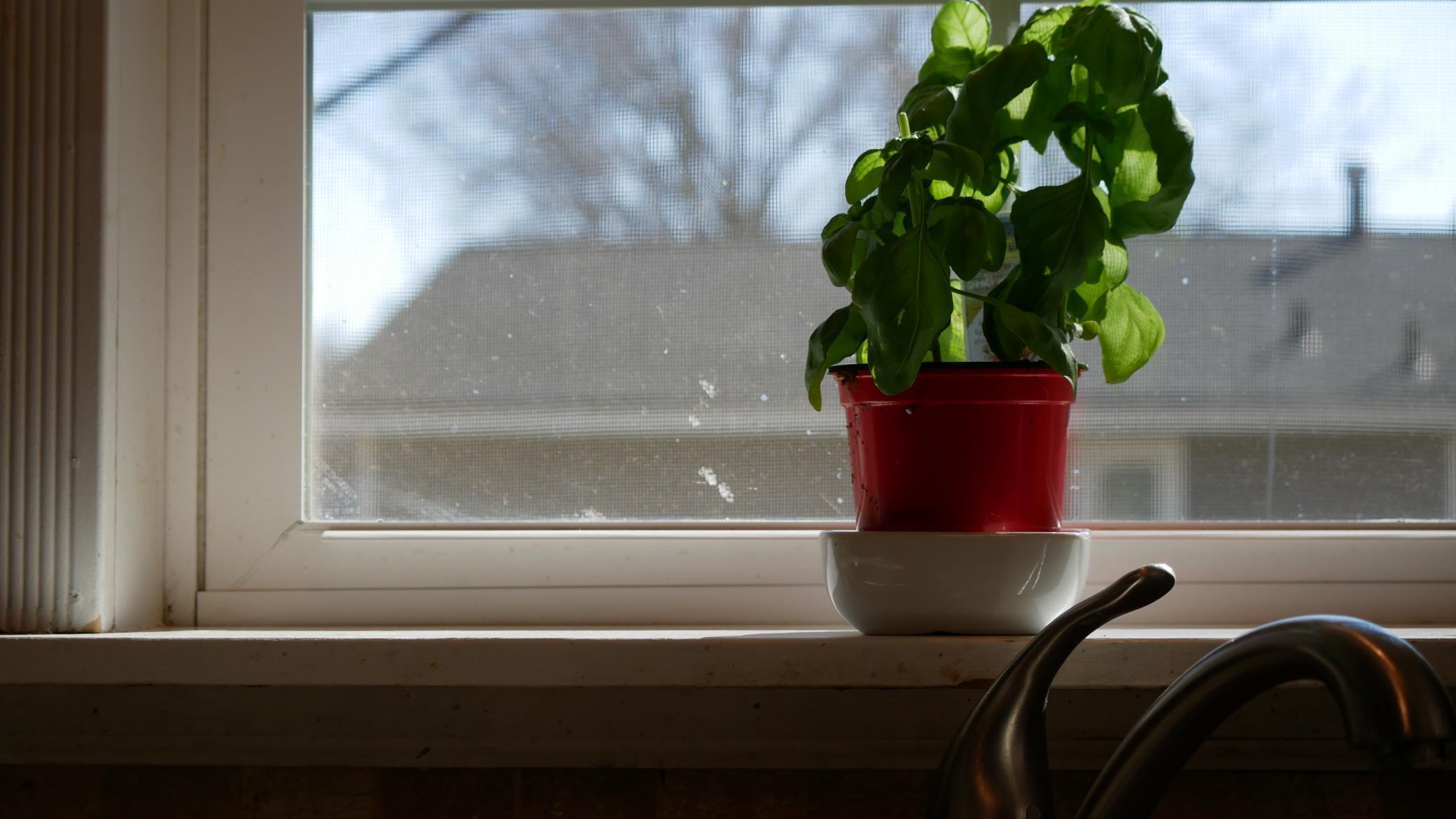 10962 Eagle Street Northwest Coon Rapids, MN 55433 - Photo 15 of 46