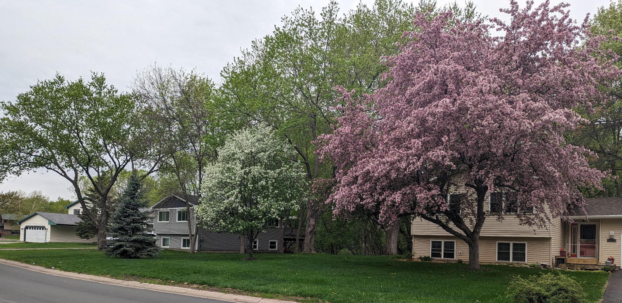 10962 Eagle Street Northwest Coon Rapids, MN 55433 - Photo 45 of 46