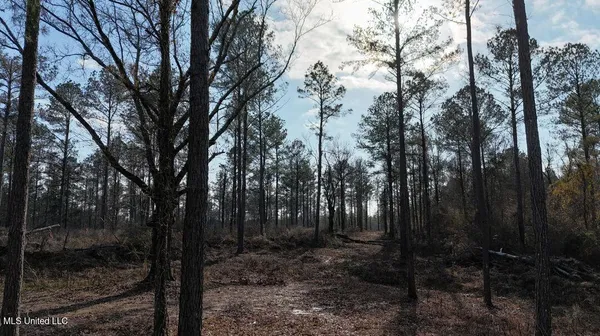 $179,000 | Ratliff Ferry Road, Canton, MS 39046