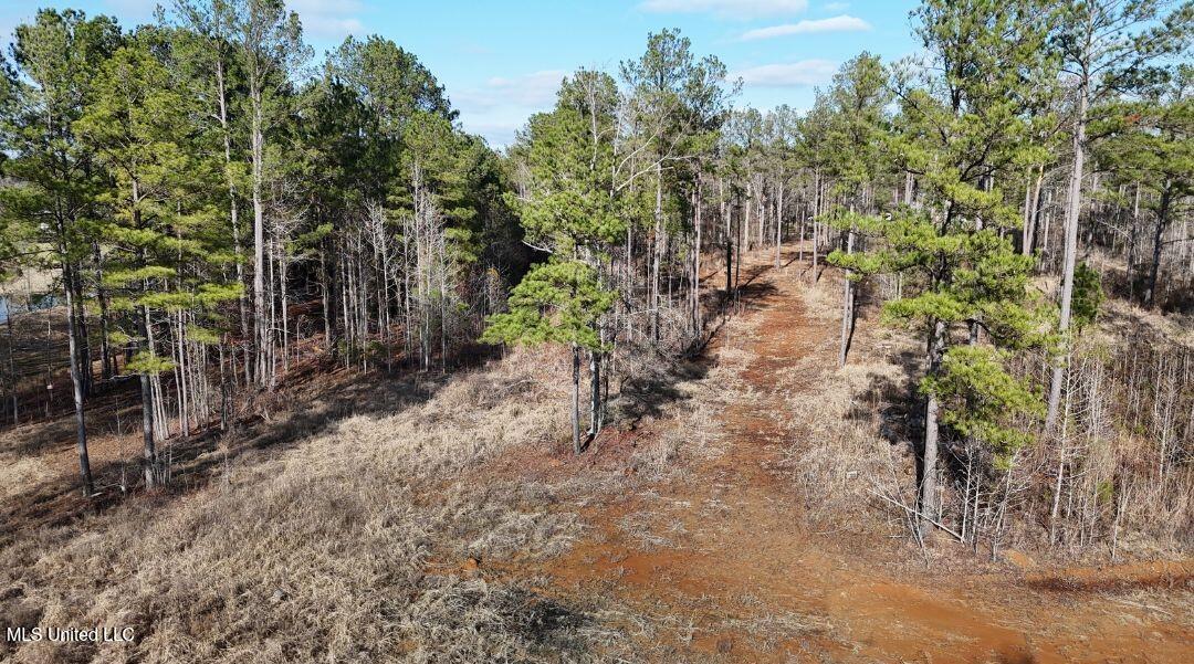 Ratliff Ferry Road Canton, MS 39046 - Photo 5 of 7 8