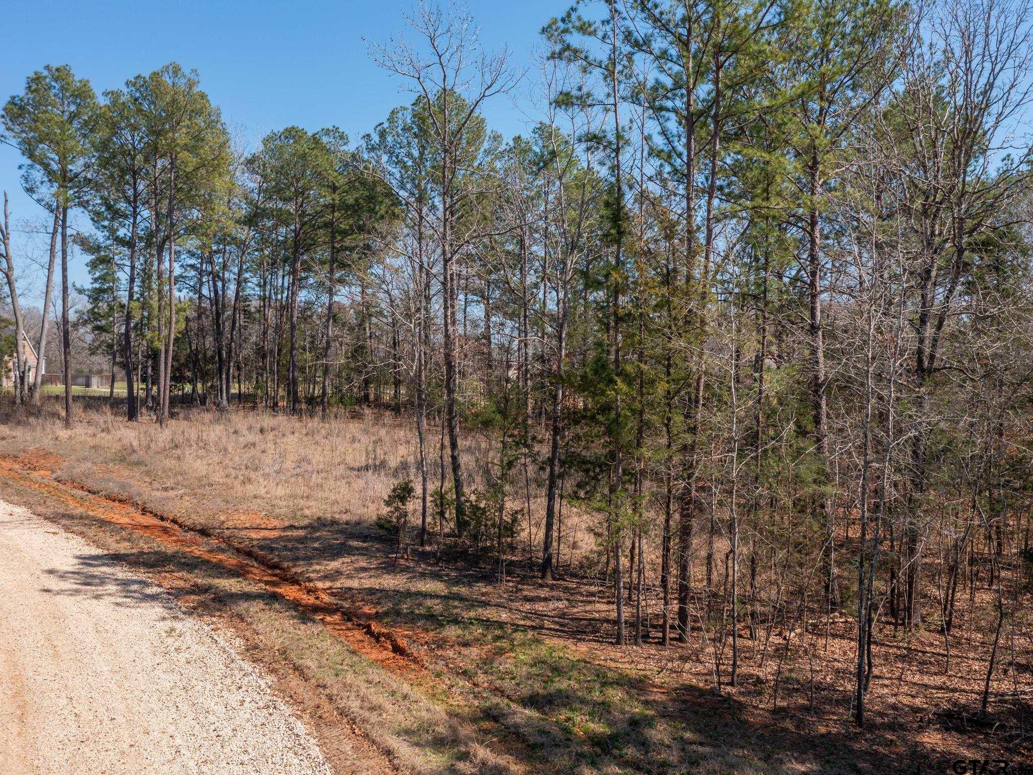 21324 Gatlinburg Road Bullard, TX 75757 - Photo 11 of 15 a view of a yard with trees
