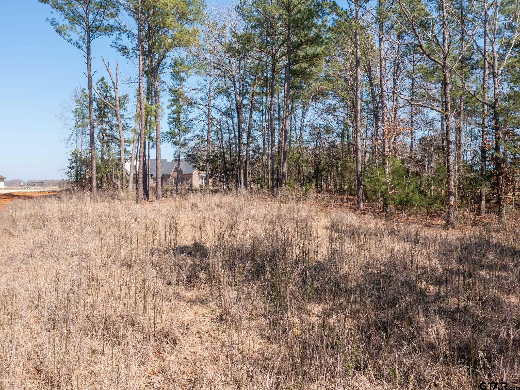 21324 Gatlinburg Road Bullard, TX 75757 - Photo 12 of 15 a view of forest