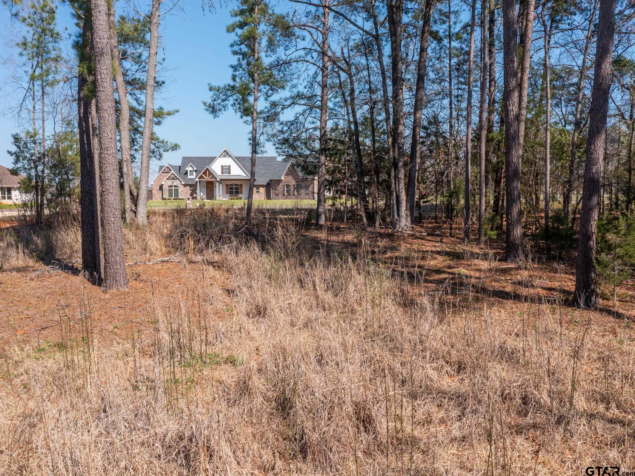 21324 Gatlinburg Road Bullard, TX 75757 - Photo 13 of 15 a view of swimming pool with a yard