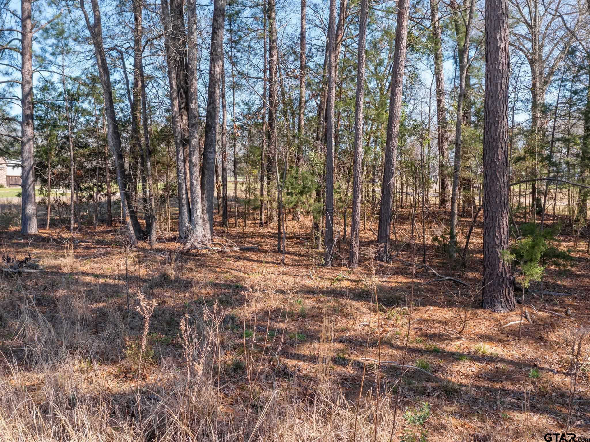 21324 Gatlinburg Road Bullard, TX 75757 - Photo 14 of 15 a backyard of a house with lots of green space