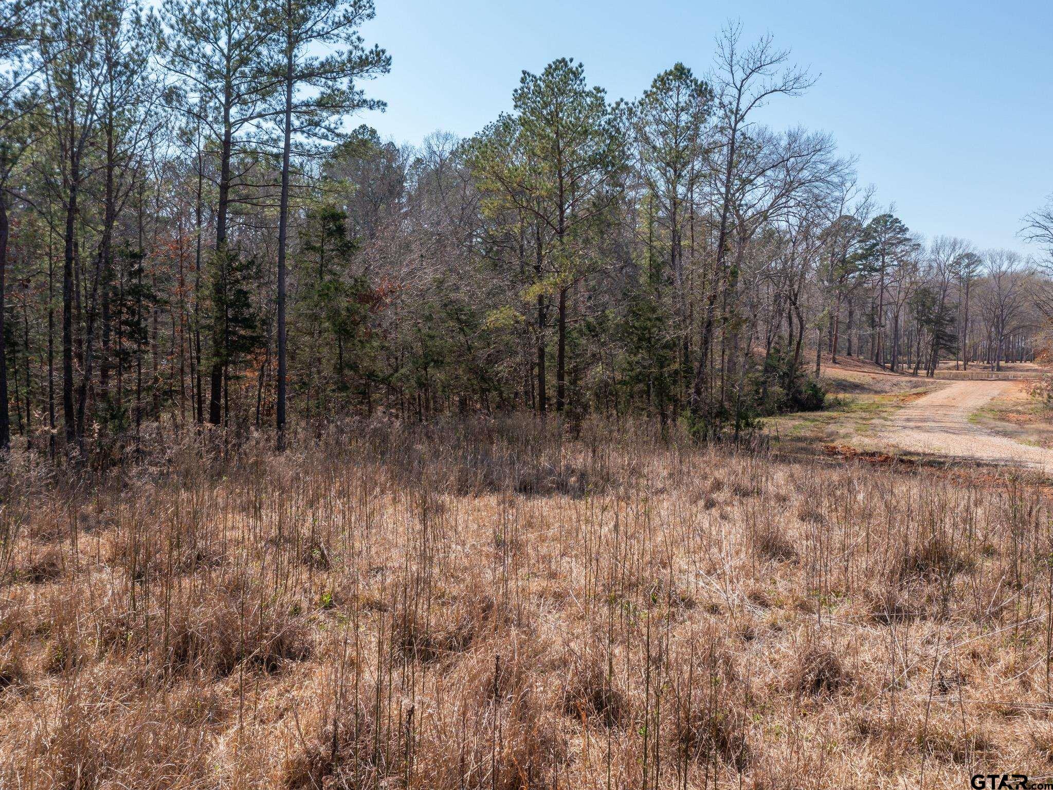 21324 Gatlinburg Road Bullard, TX 75757 - Photo 15 of 15 a view of a forest filled with trees