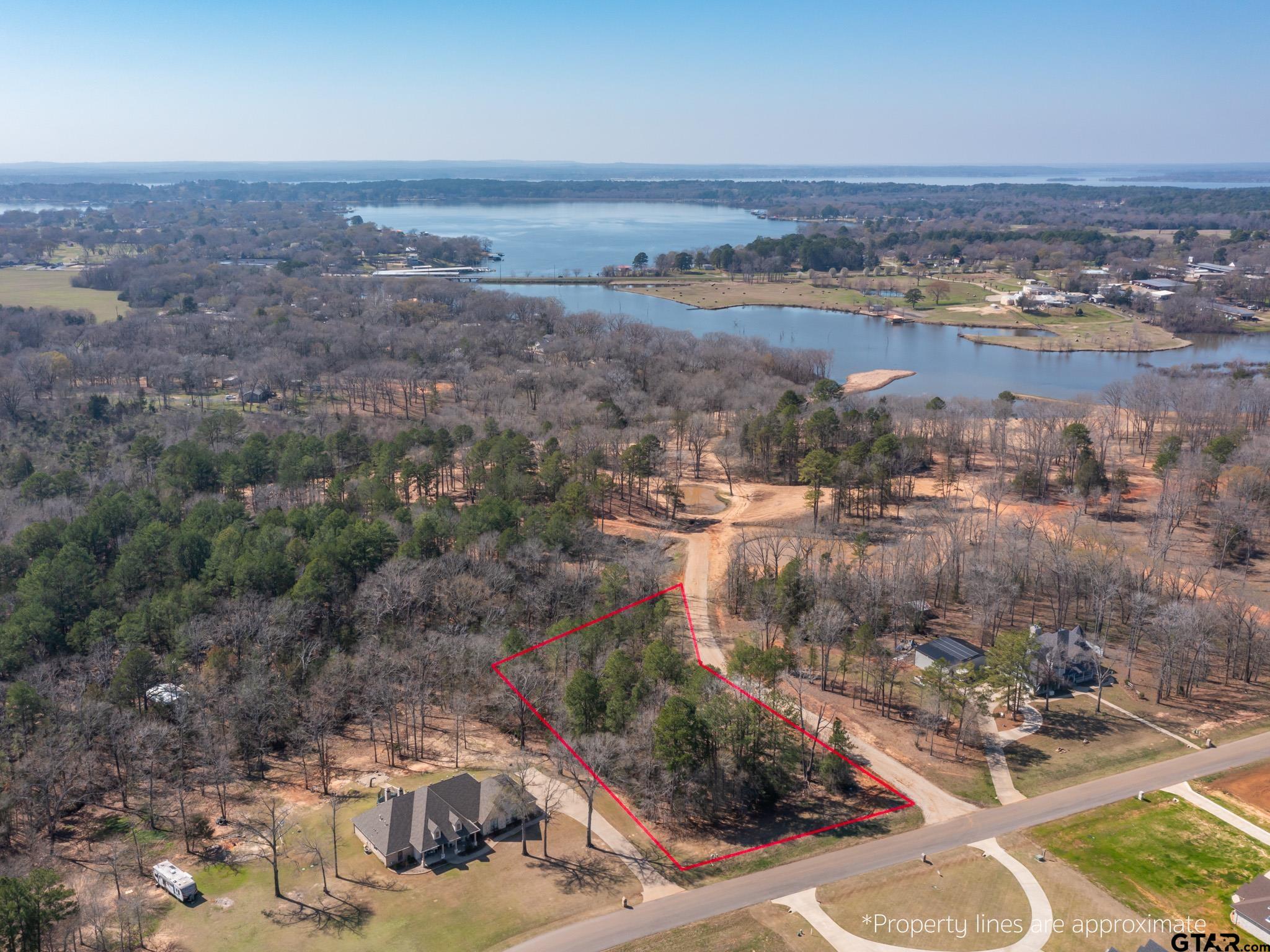 21324 Gatlinburg Road Bullard, TX 75757 - Photo 2 of 15 a view of lake and mountain