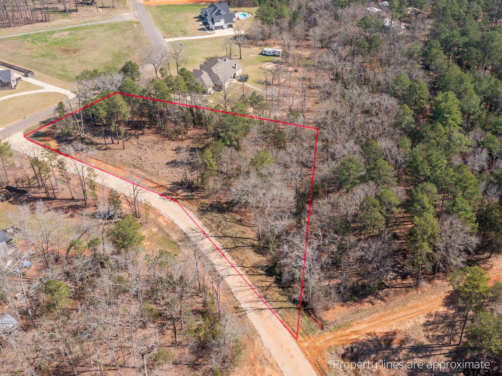 21324 Gatlinburg Road Bullard, TX 75757 - Photo 4 of 15 a view of outdoor space