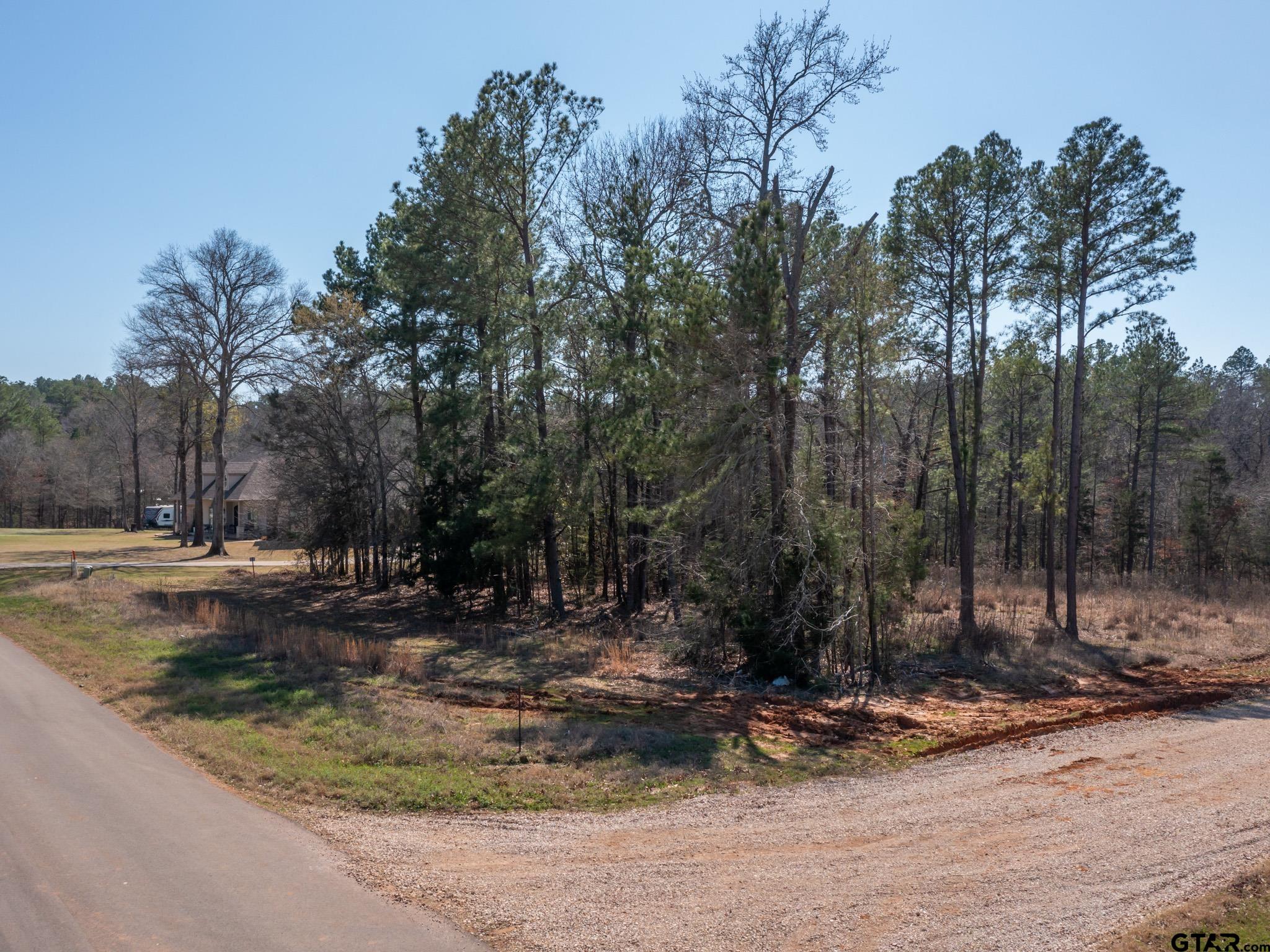 21324 Gatlinburg Road Bullard, TX 75757 - Photo 7 of 15 a view of a backyard with trees