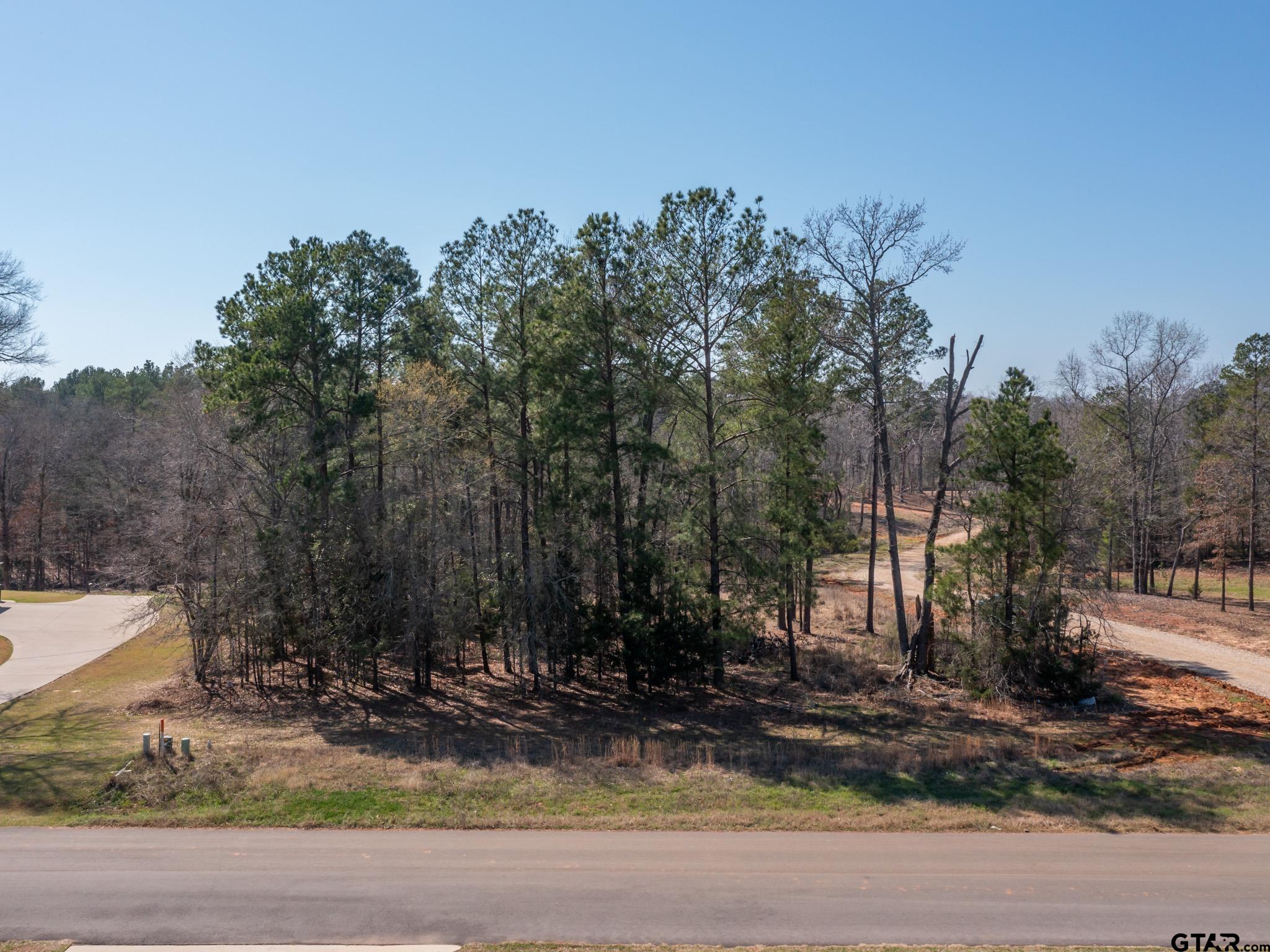 21324 Gatlinburg Road Bullard, TX 75757 - Photo 8 of 15 a view of a park with tree s