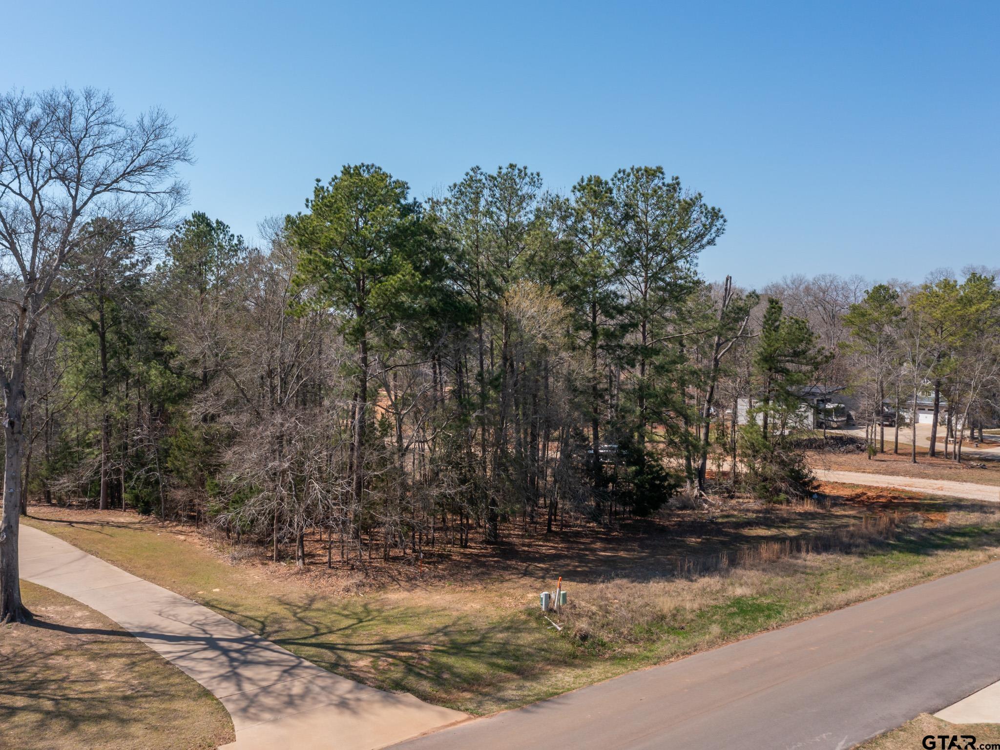 21324 Gatlinburg Road Bullard, TX 75757 - Photo 9 of 15 a view of a yard with large trees