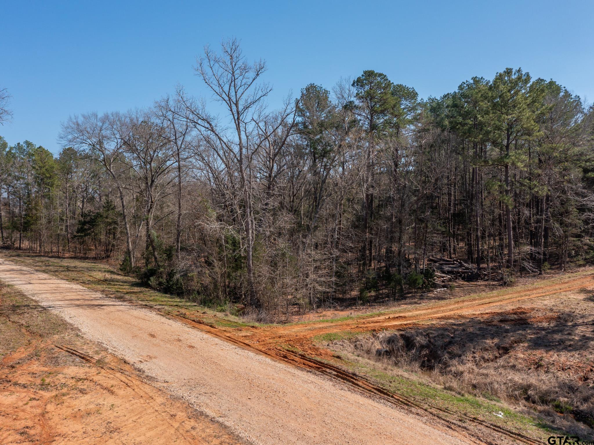 21324 Gatlinburg Road Bullard, TX 75757 - Photo 10 of 15 a view of a backyard of a house