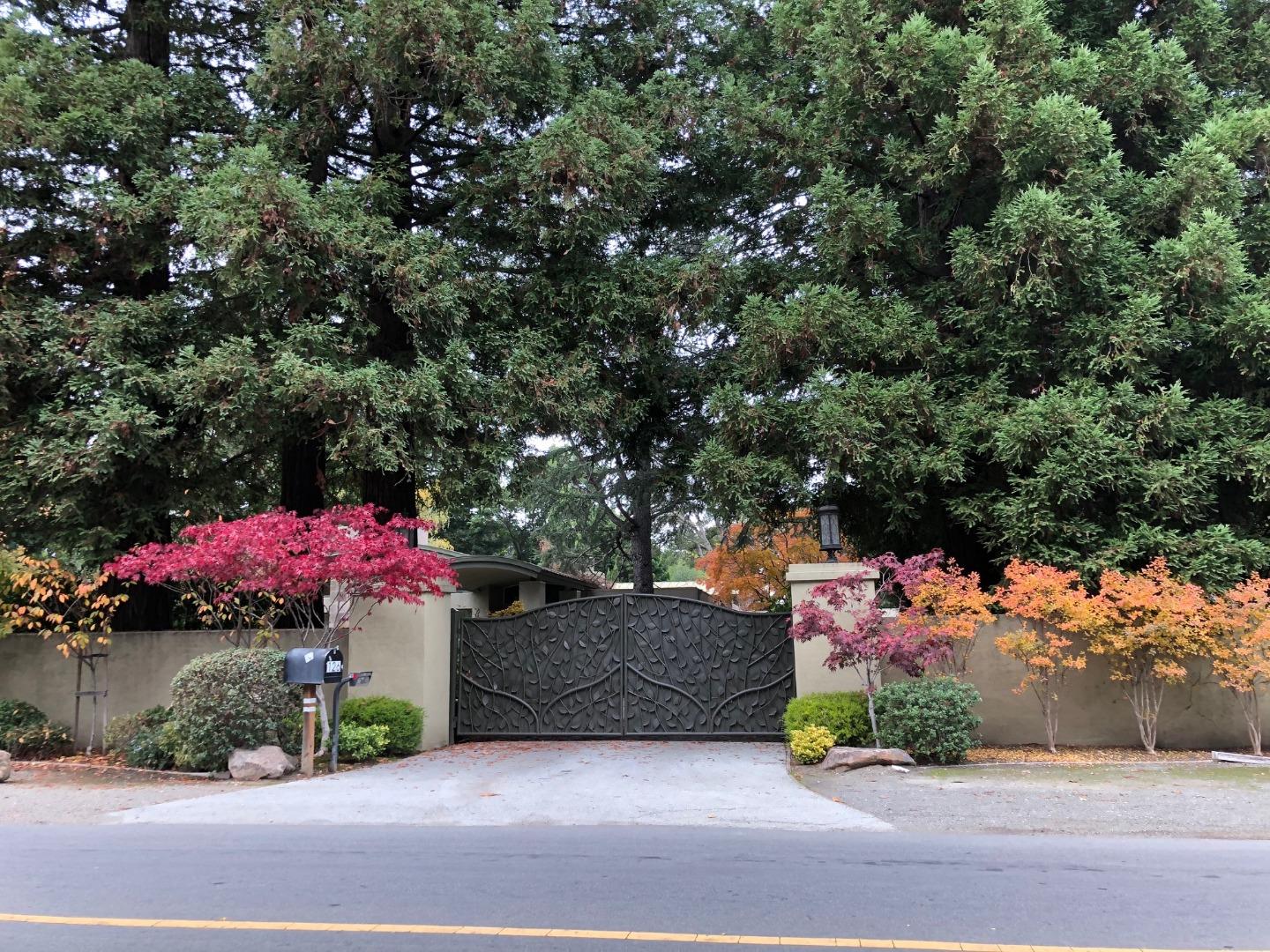a couple of people sitting in a yard with potted plants